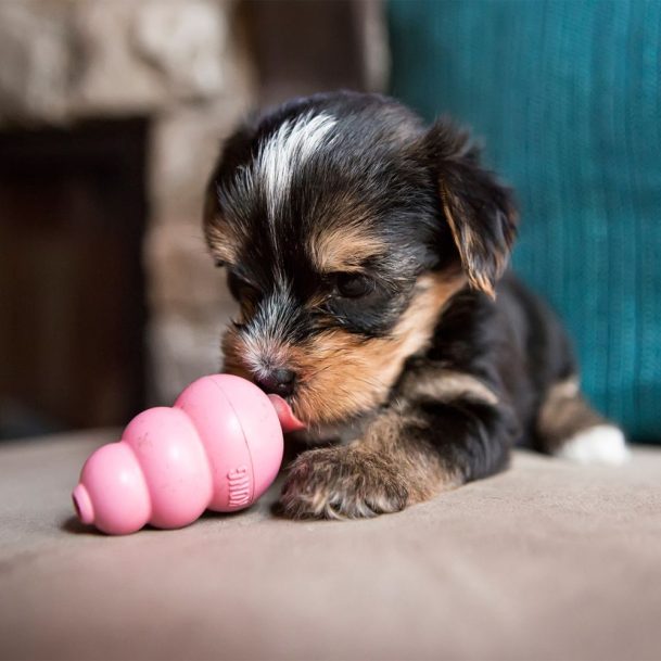 KONG Puppy - Vel. XS/S/M/L - igračka za pse - Slika 2