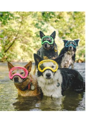 Naočale Rex Specs V2 - 100% UV zaštita (UV400) - više boja i veličina