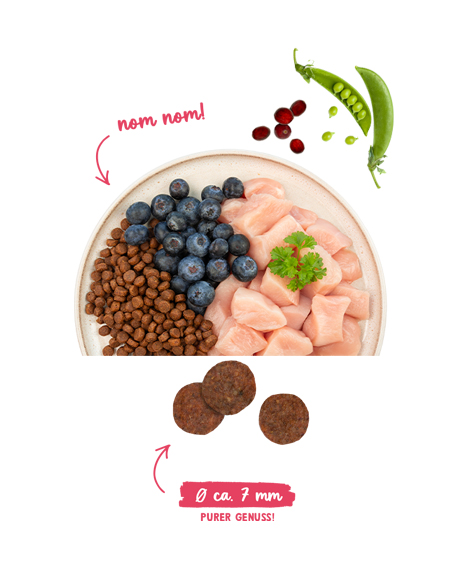 Sanabelle Adult perad & borovnica - 8 kg - Slika 2