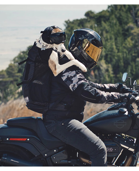 Rex Specs - Štitnik za uši za psa protiv buke - Prigušivanje zvuka do 95 dB - Slika 5