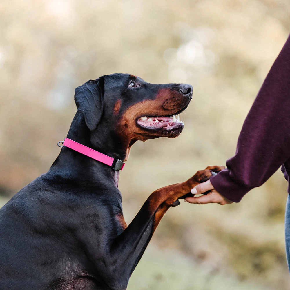 HS Sprenger ULTRA PLUS zaštitna navlaka FLEXCOVER za ogrlice i poludavilice 2,25 mm - Slika 2